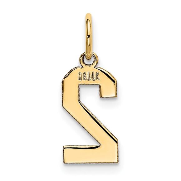 14k Yellow Gold, Athletic Collection, Small Polished Number 2 Pendant - Picture 3 of 5